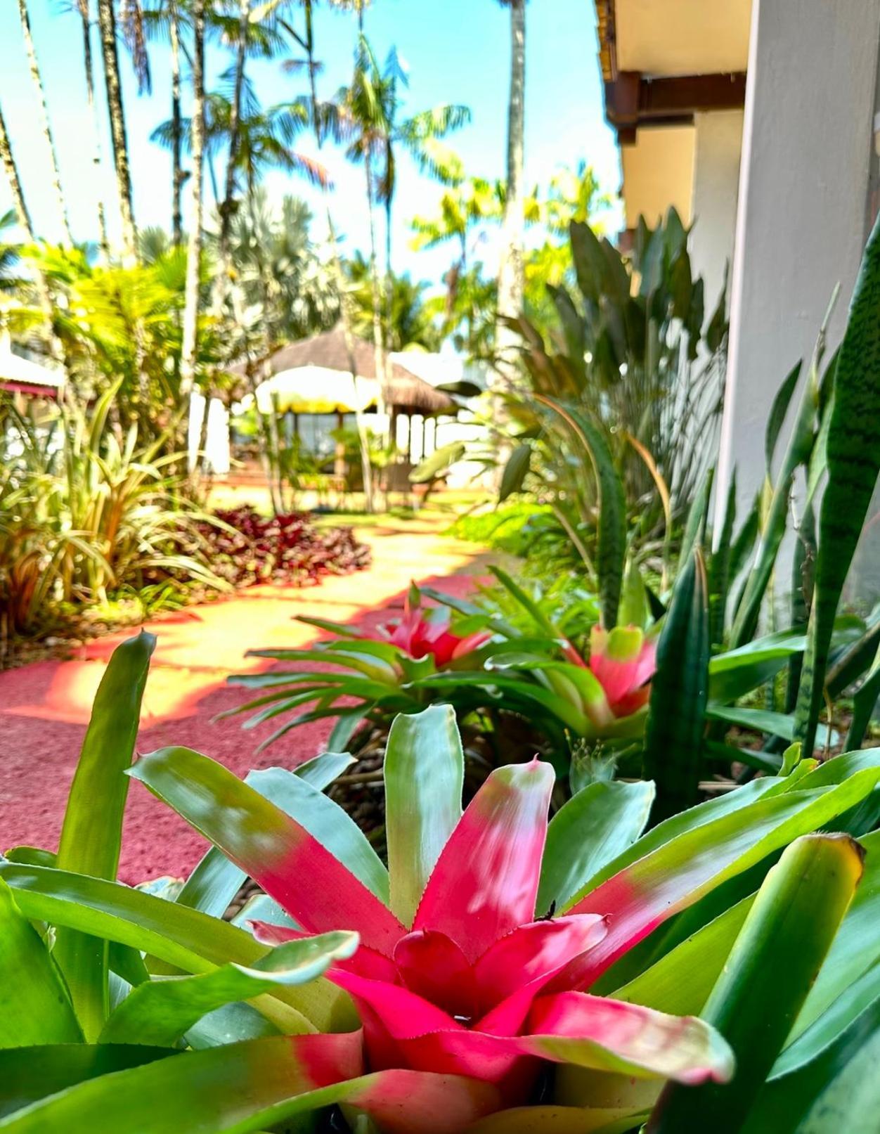 Hotel Casa Paradiso Guaruja Ngoại thất bức ảnh