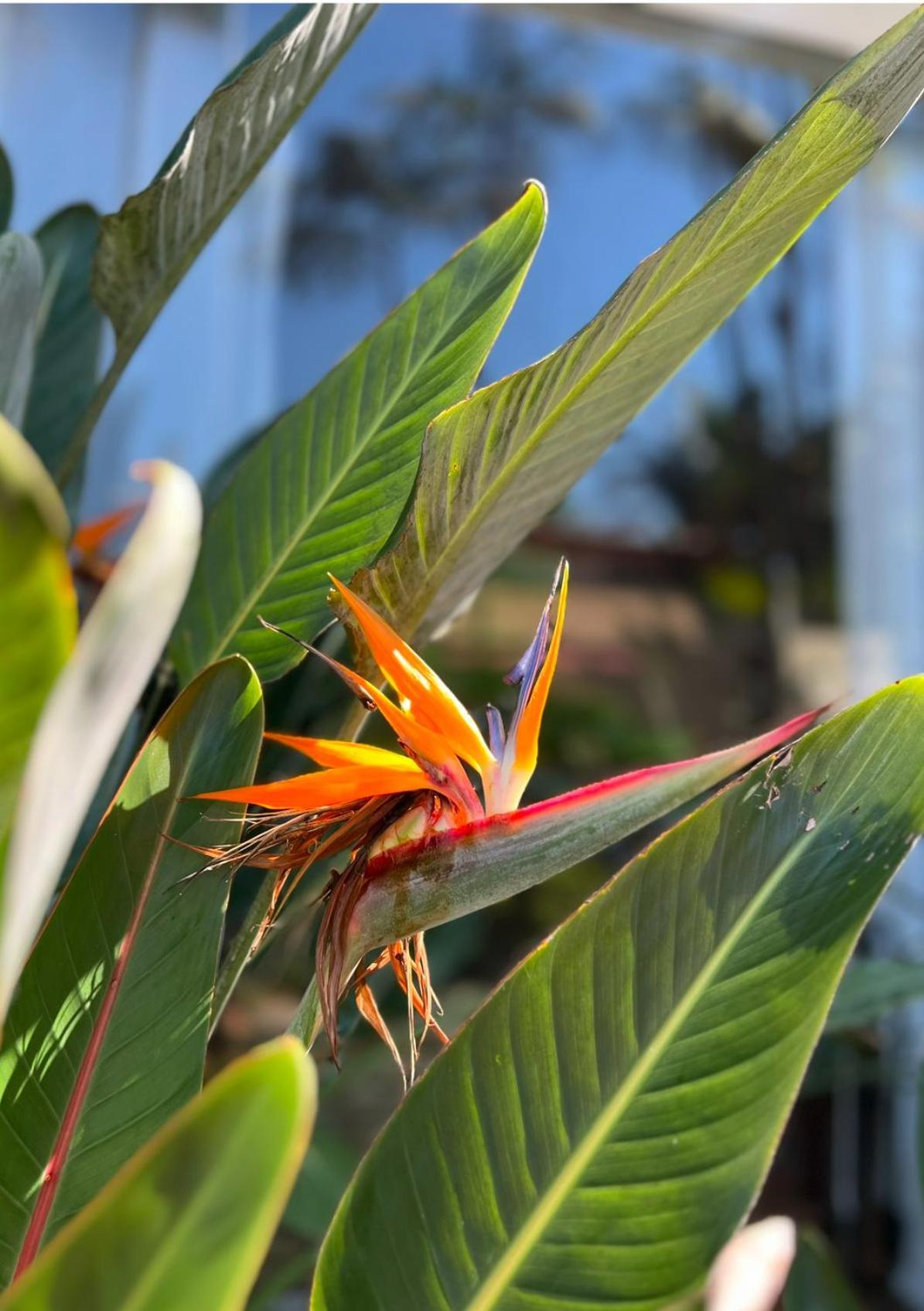 Hotel Casa Paradiso Guaruja Ngoại thất bức ảnh